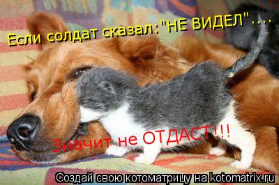 Значит не ОТДАСТ!!! Если солдат сказал:"НЕ ВИДЕЛ"....... Котоматрица: Значит не ОТДАСТ!!! Если солдат сказал:"НЕ ВИДЕЛ"....