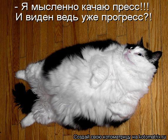 - Я мысленно качаю пресс!!! И виден ведь уже прогресс?!... Котоматрица: - Я мысленно качаю пресс!!! И виден ведь уже прогресс?!
