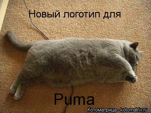 Новый логотип для Puma... Котоматрица: Новый логотип для Puma