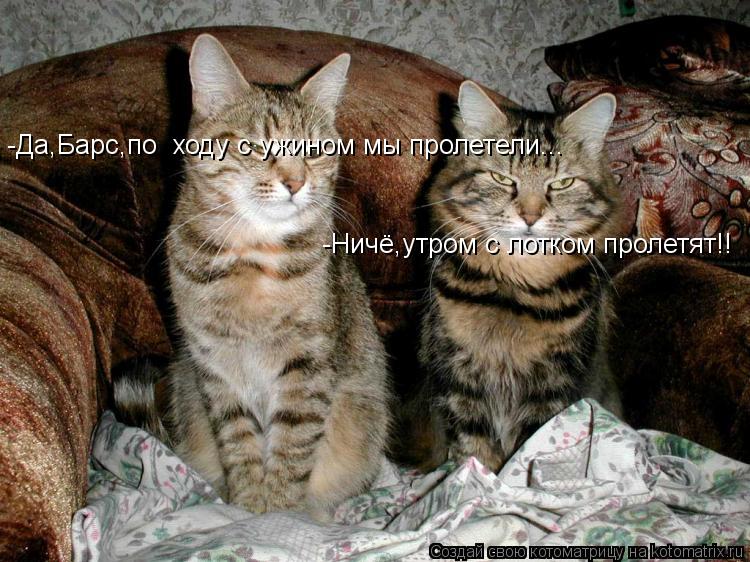 -Да,Барс,по ходу с ужином мы пролетели... -Ничё,утром с лотком пролетят!!... Котоматрица: -Да,Барс,по ходу с ужином мы пролетели... -Ничё,утром с лотком пролетят!!