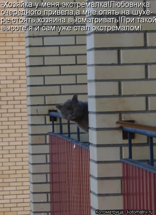 -Хозяйка у меня экстремалка!Любовника очередного привела,а мне опять на шухе- ре стоять,хозяина высма... Котоматрица: -Хозяйка у меня экстремалка!Любовника очередного привела,а мне опять на шухе- ре стоять,хозяина высматривать!При такой высоте я и сам уже ст