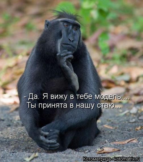 - Да. Я вижу в тебе модель.... Ты принята в нашу стаю...... Котоматрица: - Да. Я вижу в тебе модель.... Ты принята в нашу стаю...