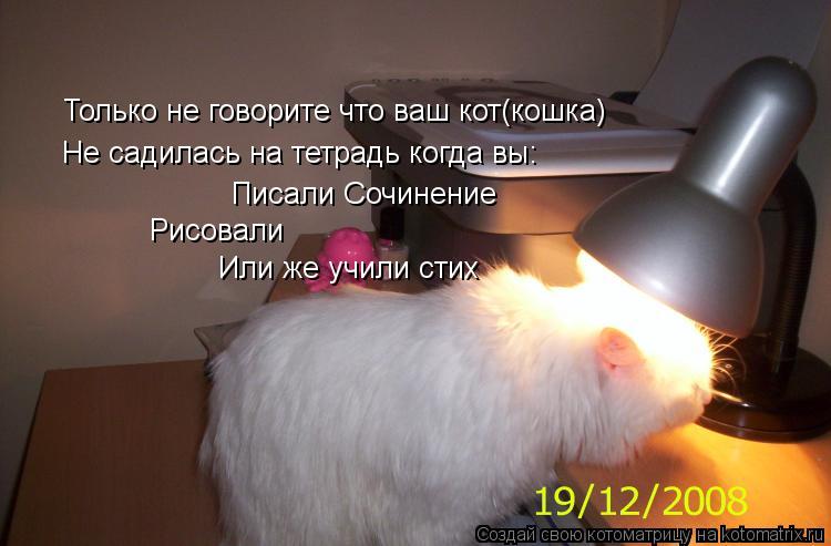 Только не говорите что ваш кот(кошка) Не садилась на тетрадь когда вы: Писали Сочинение Рисовали Или ... Котоматрица: Только не говорите что ваш кот(кошка) Не садилась на тетрадь когда вы: Писали Сочинение Рисовали Или же учили стих