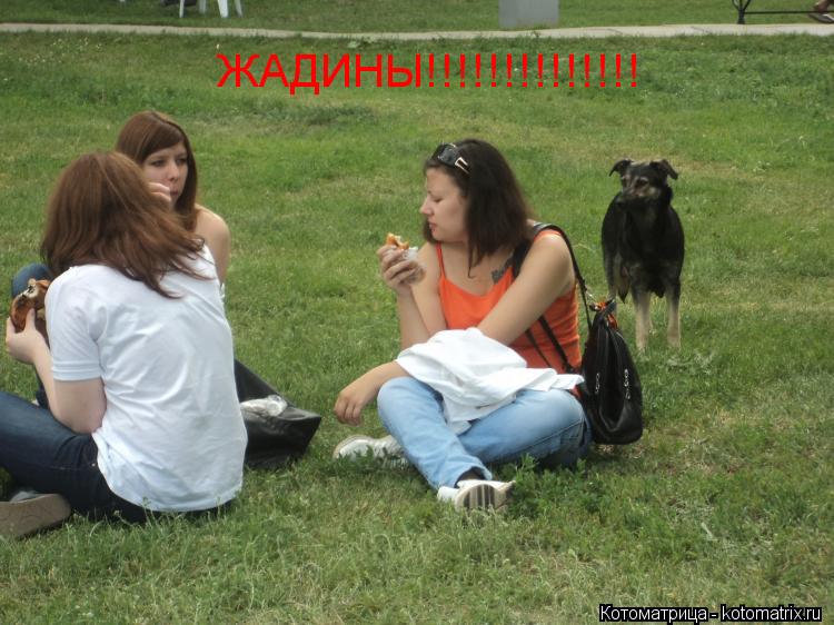ЖАДИНЫ!!!!!!!!!!!!!!... Котоматрица: ЖАДИНЫ!!!!!!!!!!!!!!