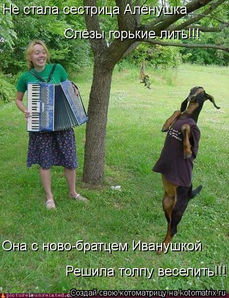 Не стала сестрица Алёнушка Слёзы горькие лить!!! Она с ново-братцем Иванушкой Решила толпу веселить!!... Котоматрица: Не стала сестрица Алёнушка Слёзы горькие лить!!! Она с ново-братцем Иванушкой Решила толпу веселить!!!