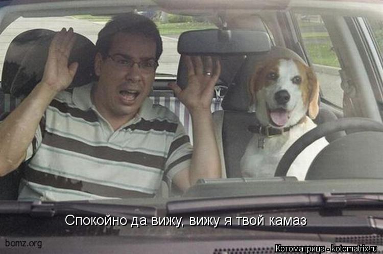 Спокойно да вижу, вижу я твой камаз... Котоматрица: Спокойно да вижу, вижу я твой камаз
