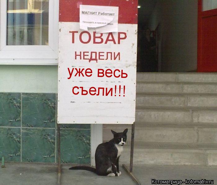 Котоматрица: уже весь  съели!!!