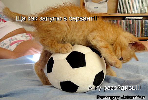 Ща как запулю в сервант!! А ну разойдись!!!... Котоматрица: Ща как запулю в сервант!! А ну разойдись!!!