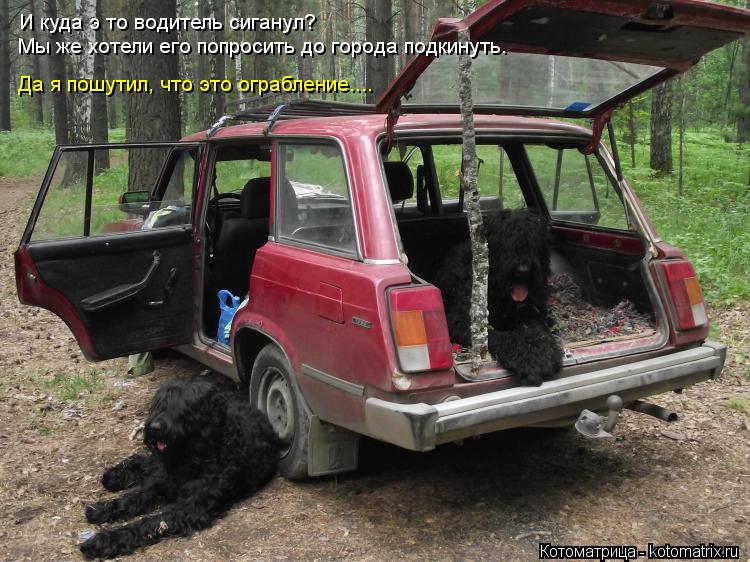 И куда э то водитель сиганул? Мы же хотели его попросить до города подкинуть. Да я пошутил, что это о... Котоматрица: И куда э то водитель сиганул? Мы же хотели его попросить до города подкинуть. Да я пошутил, что это ограбление....