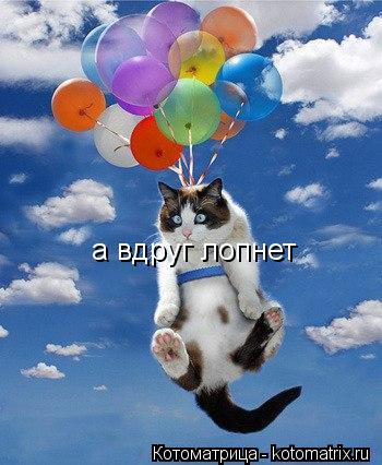 а вдруг лопнет... Котоматрица: а вдруг лопнет