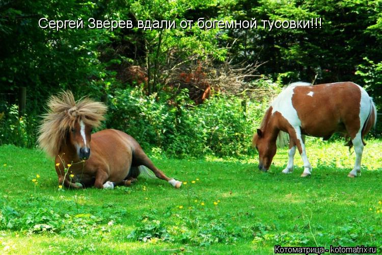 Сергей Зверев вдали от богемной тусовки!!!... Котоматрица: Сергей Зверев вдали от богемной тусовки!!!