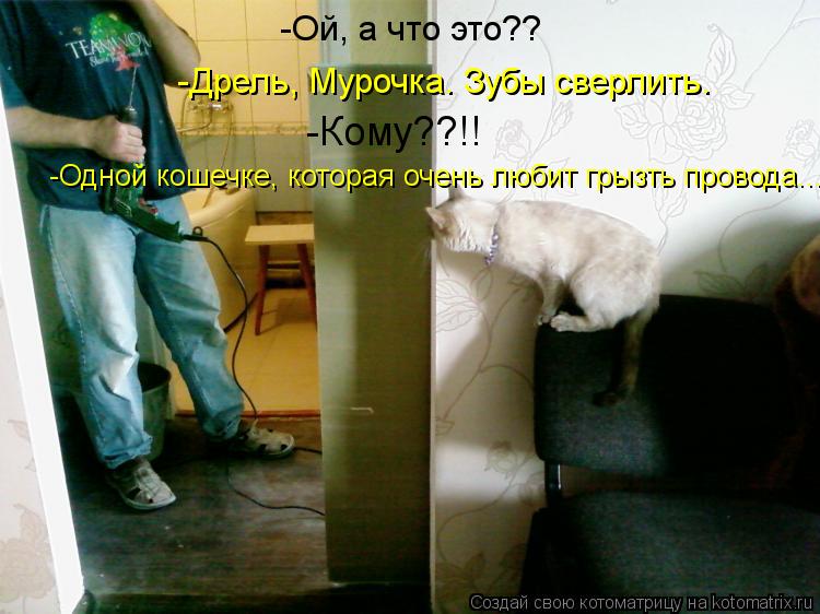 -Ой, а что это?? -Дрель, Мурочка. Зубы сверлить. -Кому??!! -Одной кошечке, которая очень любит грызт... Котоматрица: -Ой, а что это?? -Дрель, Мурочка. Зубы сверлить. -Кому??!! -Одной кошечке, которая очень любит грызть провода...