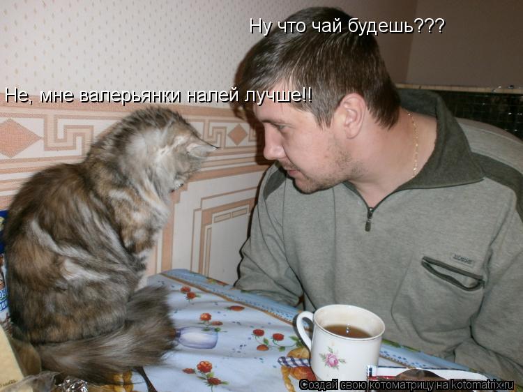 Ну что чай будешь??? Не, мне валерьянки налей лучше!!... Котоматрица: Ну что чай будешь??? Не, мне валерьянки налей лучше!!