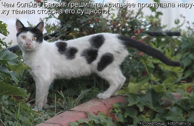 Чем больше Барсик грешил,тем сильнее проступала нару- жу тёмная сторона его сущности...... Котоматрица: Чем больше Барсик грешил,тем сильнее проступала нару- жу тёмная сторона его сущности...