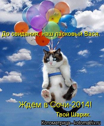 До свидания, наш ласковый Вася. Ждём в Сочи-2014! Твой Шарик.... Котоматрица: До свидания, наш ласковый Вася. Ждём в Сочи-2014! Твой Шарик.