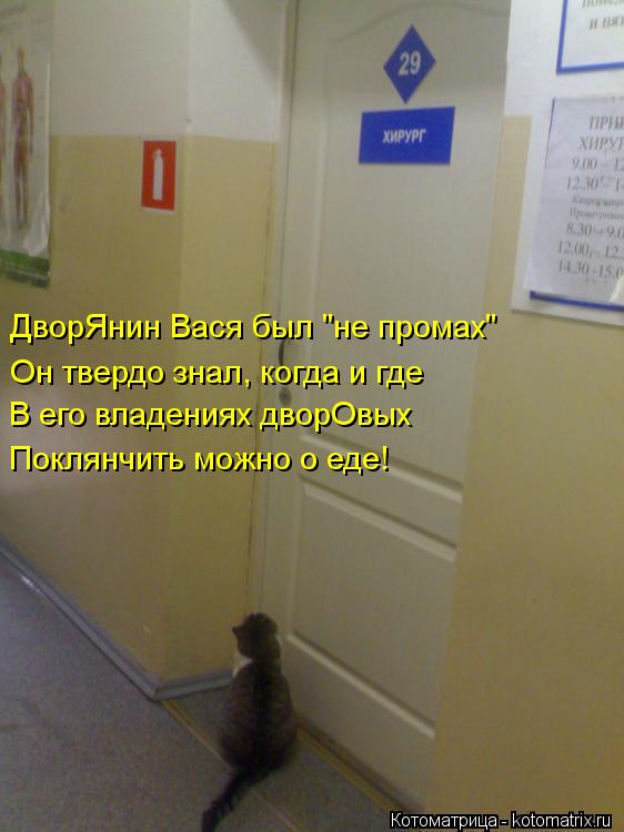 ДворЯнин Вася был "не промах" В его владениях дворОвых Он твердо знал, когда и где Поклянчить мо... Котоматрица: ДворЯнин Вася был "не промах" В его владениях дворОвых Он твердо знал, когда и где Поклянчить можно о еде!