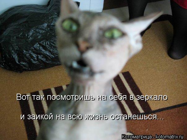 Вот так посмотришь на себя в зеркало и заикой на всю жизнь останешься...... Котоматрица: Вот так посмотришь на себя в зеркало и заикой на всю жизнь останешься...