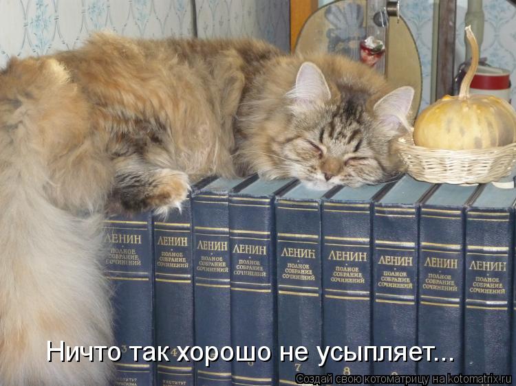 Ничто так хорошо не усыпляет...... Котоматрица: Ничто так хорошо не усыпляет...