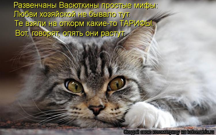 Развенчаны Васюткины простые мифы: Любви хозяйской не бывало тут. Те взяли на откорм какие-то ТАРИФЫ.... Котоматрица: Развенчаны Васюткины простые мифы: Любви хозяйской не бывало тут. Те взяли на откорм какие-то ТАРИФЫ. Вот, говорят, опять они растут.