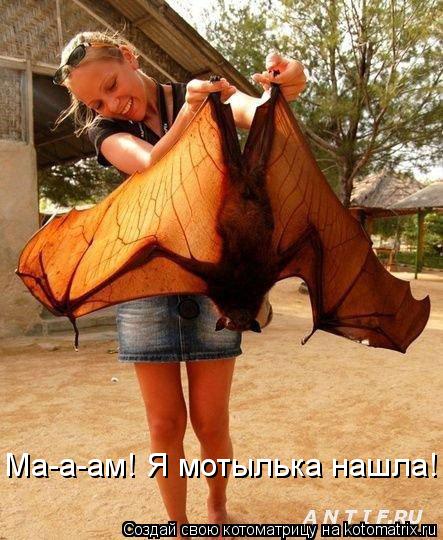 Ма-а-ам! Я мотылька нашла!... Котоматрица: Ма-а-ам! Я мотылька нашла!