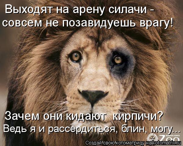 Выходят на арену силачи - совсем не позавидуешь врагу! Зачем они кидают кирпичи? Ведь я и рассердить... Котоматрица: Выходят на арену силачи - совсем не позавидуешь врагу! Зачем они кидают кирпичи? Ведь я и рассердиться, блин, могу...