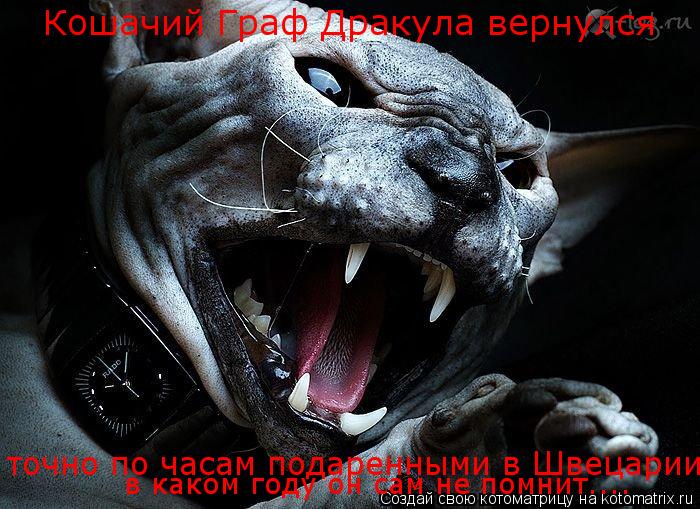 Кошачий Граф Дракула вернулся точно по часам подаренными в Швецарии в каком году он сам не помнит...... Котоматрица: Кошачий Граф Дракула вернулся точно по часам подаренными в Швецарии в каком году он сам не помнит....