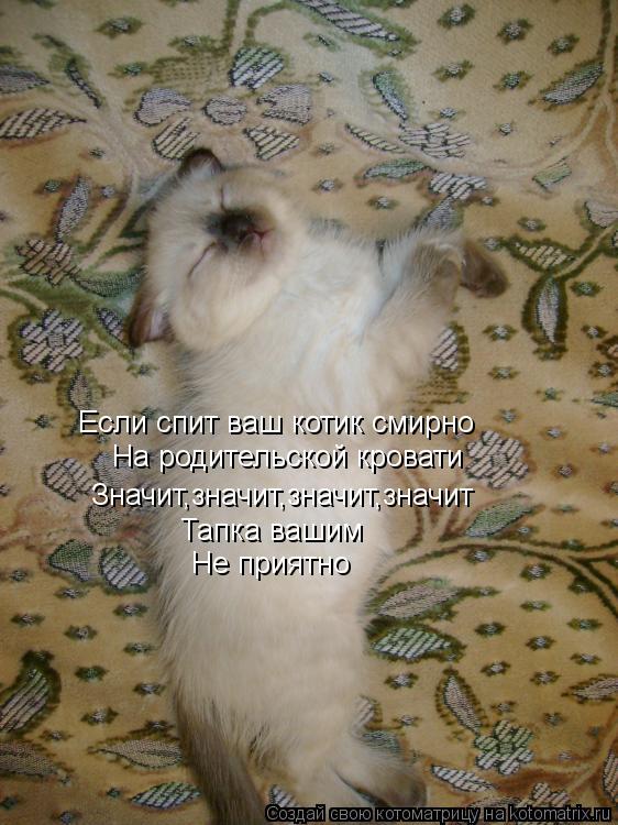 Если спит ваш котик смирно На родительской кровати Значит,значит,значит,значит Тапка вашим Не приятно... Котоматрица: Если спит ваш котик смирно На родительской кровати Значит,значит,значит,значит Тапка вашим Не приятно