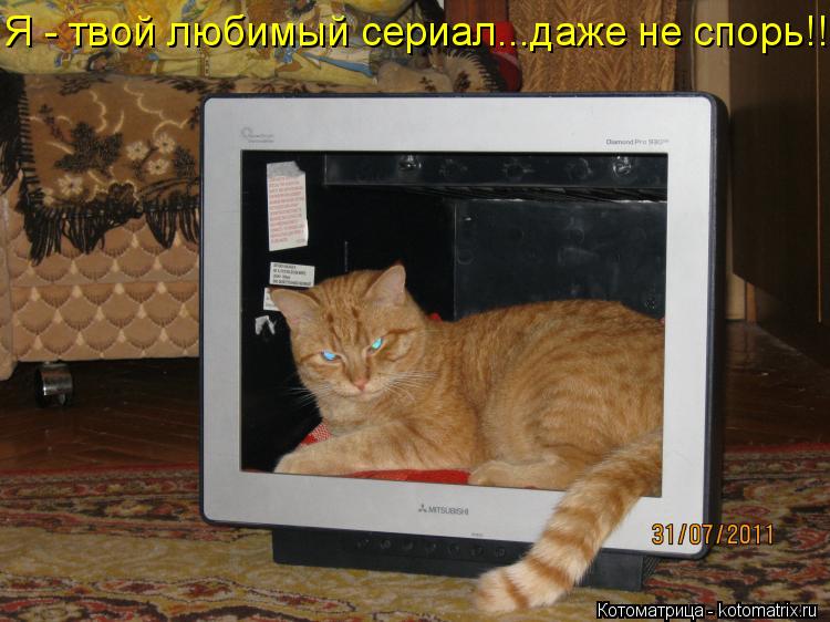 Я - твой любимый сериал...даже не спорь!!!... Котоматрица: Я - твой любимый сериал...даже не спорь!!!