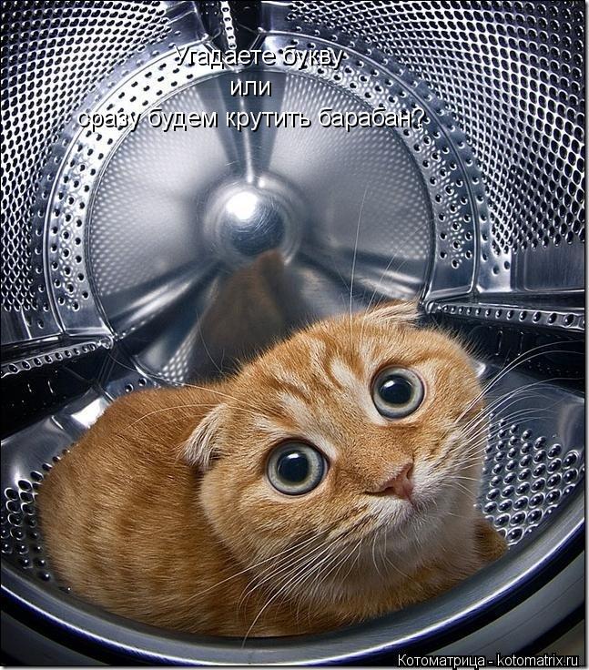 Угадаете букву или сразу будем крутить барабан?... Котоматрица: Угадаете букву или сразу будем крутить барабан?