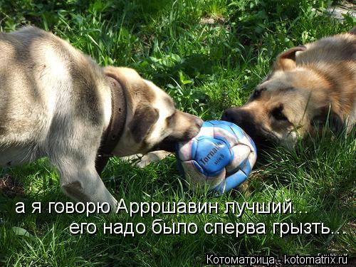 а я говорю Аррршавин лучший... его надо было сперва грызть...... Котоматрица: а я говорю Аррршавин лучший... его надо было сперва грызть...