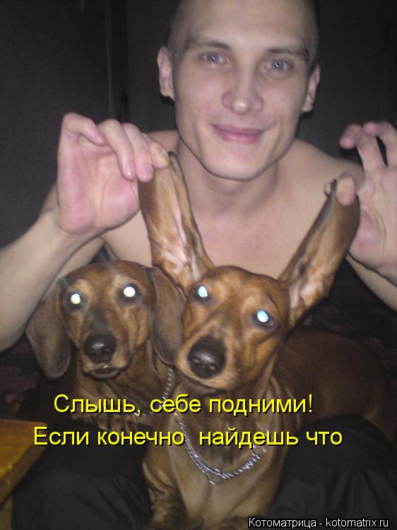 Слышь, себе подними! Если конечно найдешь что... Котоматрица: Слышь, себе подними! Если конечно найдешь что