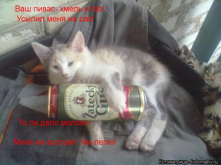 Ваш пивас- хмель и газ! Усыпил меня на раз! То ли дело молоко- Меня не вшторит так легко!... Котоматрица: Ваш пивас- хмель и газ! Усыпил меня на раз! То ли дело молоко- Меня не вшторит так легко!