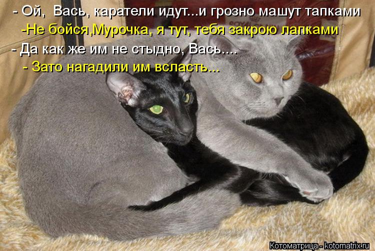 - Ой, Вась, каратели идут...и грозно машут тапками -Не бойся,Мурочка, я тут, тебя закрою лапками - ... Котоматрица: - Ой, Вась, каратели идут...и грозно машут тапками -Не бойся,Мурочка, я тут, тебя закрою лапками - Да как же им не стыдно, Вась.... - Зато нагадили