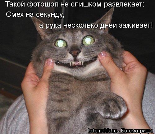 Такой фотошоп не слишком развлекает: Смех на секунду, а рука несколько дней заживает!... Котоматрица: Такой фотошоп не слишком развлекает: Смех на секунду, а рука несколько дней заживает!