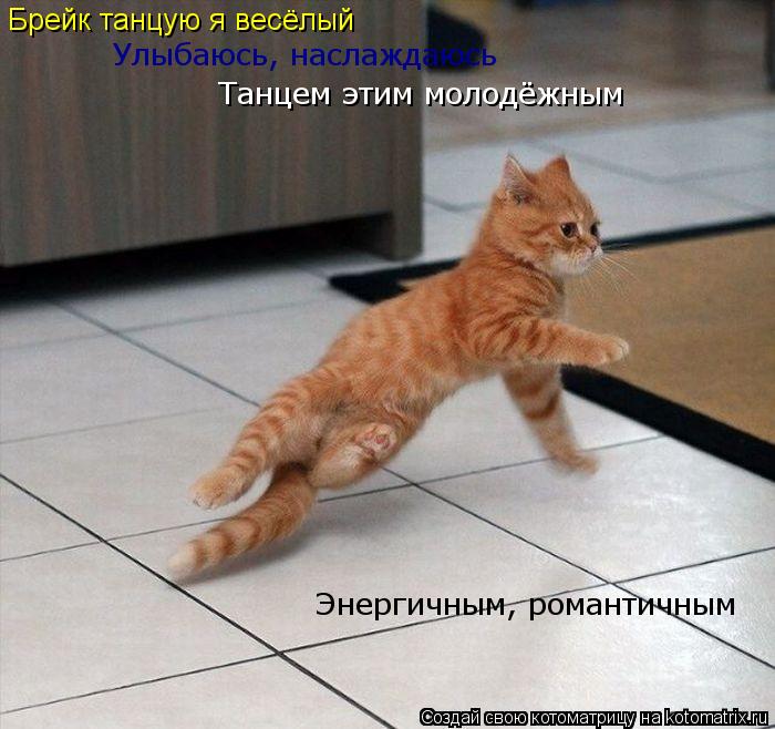 Брейк танцую я весёлый Улыбаюсь, наслаждаюсь Танцем этим молодёжным Энергичным, романтичным... Котоматрица: Брейк танцую я весёлый Улыбаюсь, наслаждаюсь Танцем этим молодёжным Энергичным, романтичным