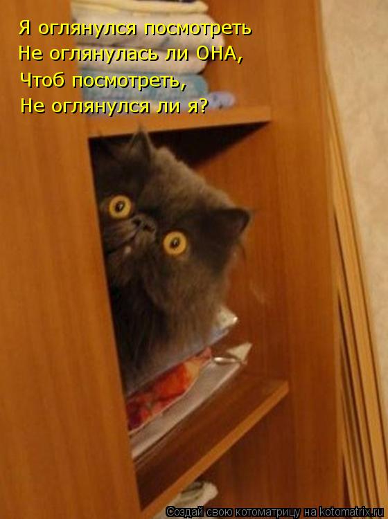 Я оглянулся посмотреть Не оглянулась ли ОНА, Чтоб посмотреть, Не оглянулся ли я?... Котоматрица: Я оглянулся посмотреть Не оглянулась ли ОНА, Чтоб посмотреть, Не оглянулся ли я?