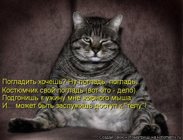 Погладить хочешь? Ну погладь, погладь... Костюмчик свой погладь (вот это - дело). Подгонишь к ужин... Котоматрица: Погладить хочешь? Ну погладь, погладь... Костюмчик свой погладь (вот это - дело). Подгонишь к ужину мне жирного мыша И... может быть заслужишь