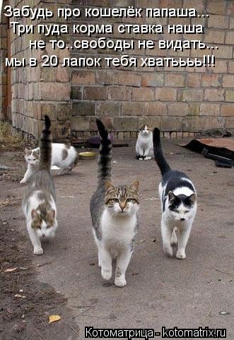 Забудь про кошелёк папаша... Три пуда корма ставка наша не то..свободы не видать... мы в 20 лапок теб... Котоматрица: Забудь про кошелёк папаша... Три пуда корма ставка наша не то..свободы не видать... мы в 20 лапок тебя хватьььь!!! Забудь про кошелёк папаша...