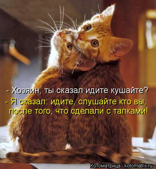 - Хозяин, ты сказал идите кушайте? - Я сказал: идите, слушайте кто вы, после того, что сделали с тапк... Котоматрица: - Хозяин, ты сказал идите кушайте? - Я сказал: идите, слушайте кто вы, после того, что сделали с тапками!