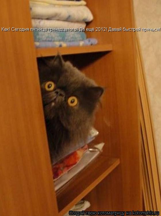 Как! Сегодня пятница тринадцатого! Да ещё 2012! Давай быстрей прячься!... Котоматрица: Как! Сегодня пятница тринадцатого! Да ещё 2012! Давай быстрей прячься!