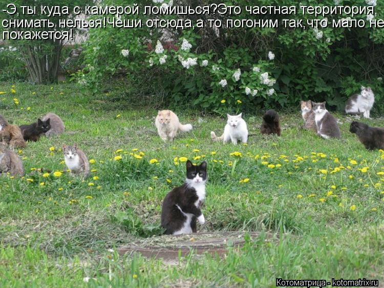 -Э,ты куда с камерой ломишься?Это частная территория, снимать нельзя!Чеши отсюда,а то погоним так,что... Котоматрица: -Э,ты куда с камерой ломишься?Это частная территория, снимать нельзя!Чеши отсюда,а то погоним так,что мало не покажется!