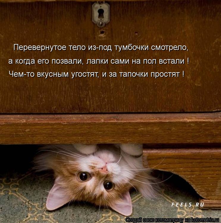 Перевернутое тело из-под тумбочки смотрело, а когда его позвали, лапки сами на пол встали ! Чем-то вк... Котоматрица: Перевернутое тело из-под тумбочки смотрело, а когда его позвали, лапки сами на пол встали ! Чем-то вкусным угостят, и за тапочки простят !