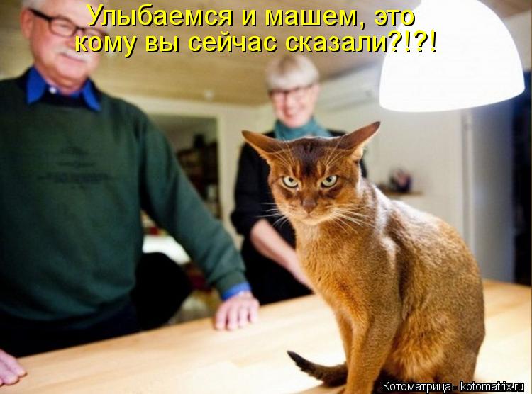 Улыбаемся и машем, это кому вы сейчас сказали?!?!... Котоматрица: Улыбаемся и машем, это кому вы сейчас сказали?!?!