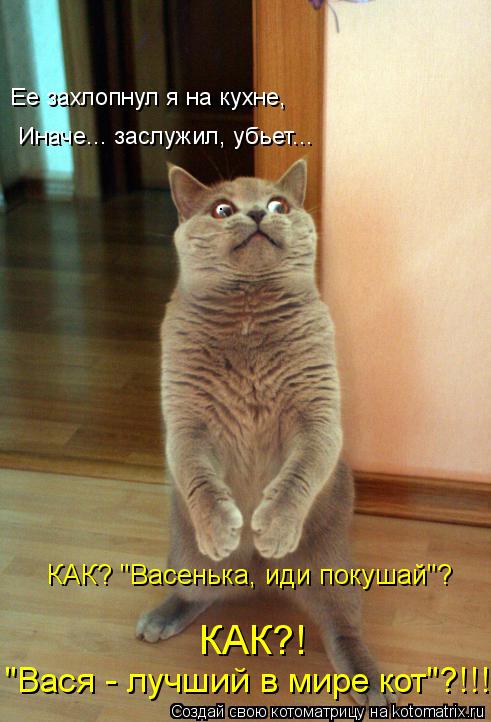 Иначе... заслужил, убьет... Ее захлопнул я на кухне, КАК? "Васенька, иди покушай"? КАК?! "Вася - луч... Котоматрица: Иначе... заслужил, убьет... Ее захлопнул я на кухне, КАК? "Васенька, иди покушай"? КАК?! "Вася - лучший в мире кот"?!!!