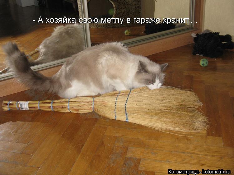 - А хозяйка свою метлу в гараже хранит....... Котоматрица: - А хозяйка свою метлу в гараже хранит....