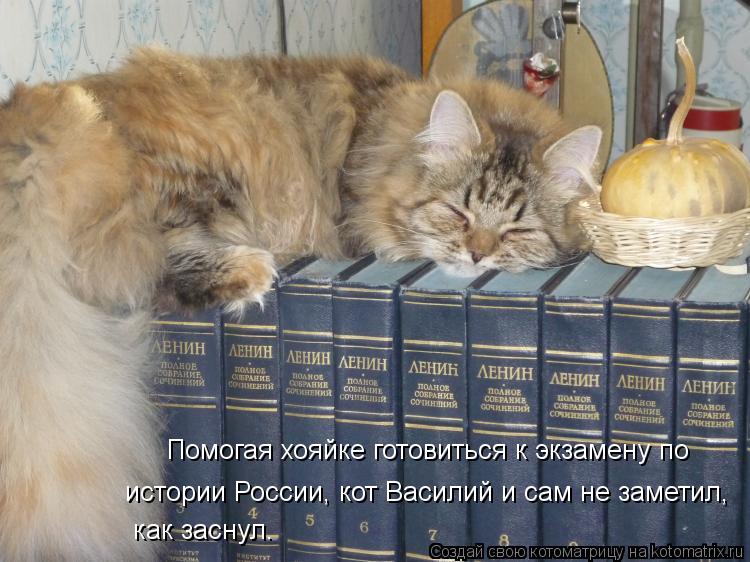 Помогая хояйке готовиться к экзамену по истории России, кот Василий и сам не заметил, как заснул.... Котоматрица: Помогая хояйке готовиться к экзамену по истории России, кот Василий и сам не заметил, как заснул.