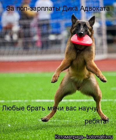 За пол-зарплаты Дика Адвоката Любые брать мячи вас научу, ребята!... Котоматрица: За пол-зарплаты Дика Адвоката Любые брать мячи вас научу, ребята!