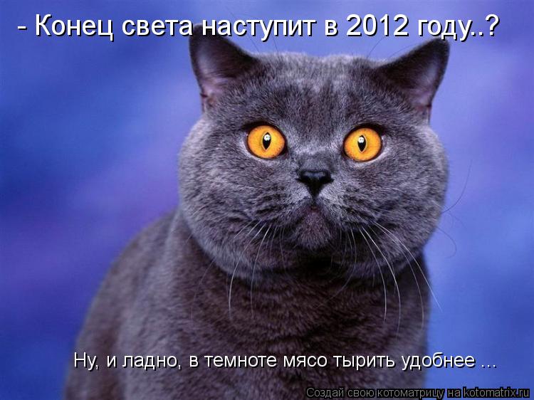 Котоматрица: - Конец света наступит в 2012 году..? Ну, и ладно, в темноте мясо тырить удобнее ...