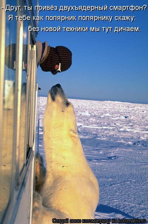 Я тебе как полярник полярнику скажу: без новой техники мы тут дичаем. - Друг, ты привёз двухъядерный ... Котоматрица: Я тебе как полярник полярнику скажу: без новой техники мы тут дичаем. - Друг, ты привёз двухъядерный смартфон?