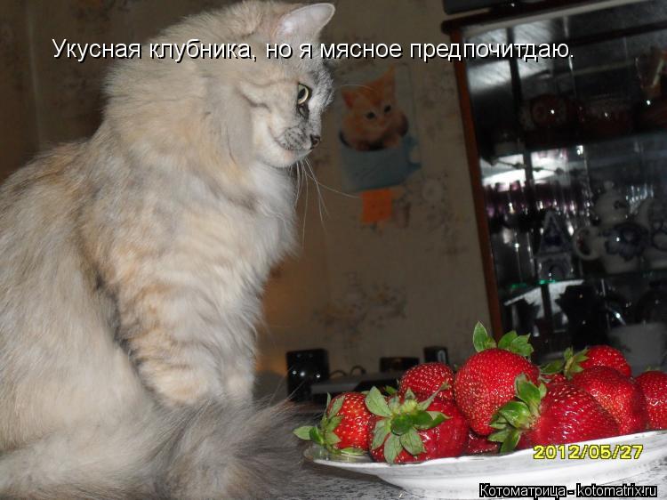 Укусная клубника, но я мясное предпочитдаю.... Котоматрица: Укусная клубника, но я мясное предпочитдаю.